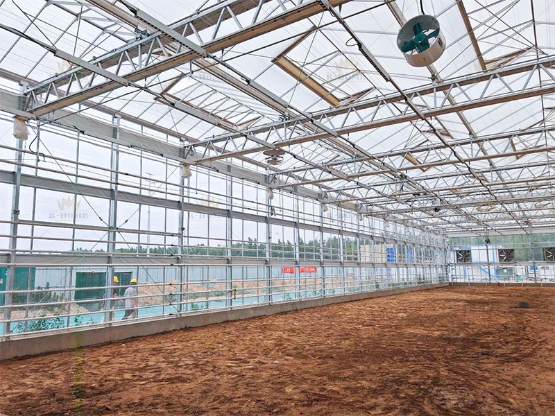 Agricultural Steel Structure Buildings