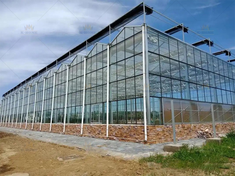 Greenhouses and Agricultural Steel Structure Buildings